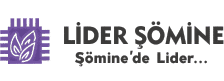 Canvas Logo